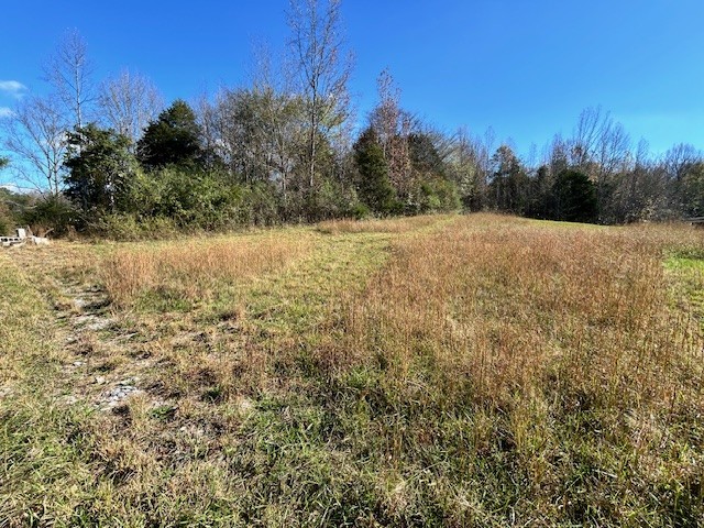 900 Ridge Road Quebeck, TN 38579 - Photo 33 of 46 a view of a yard