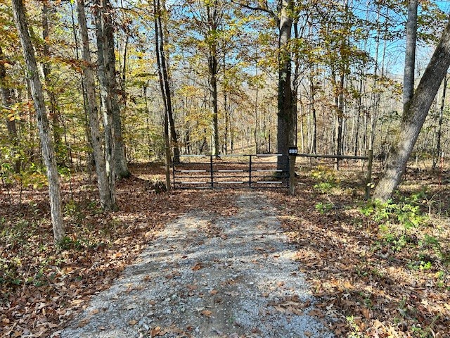 900 Ridge Road Quebeck, TN 38579 - Photo 34 of 46 a view of outdoor space with trees