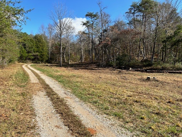 900 Ridge Road Quebeck, TN 38579 - Photo 35 of 46 a view of a yard with trees and wooden fence