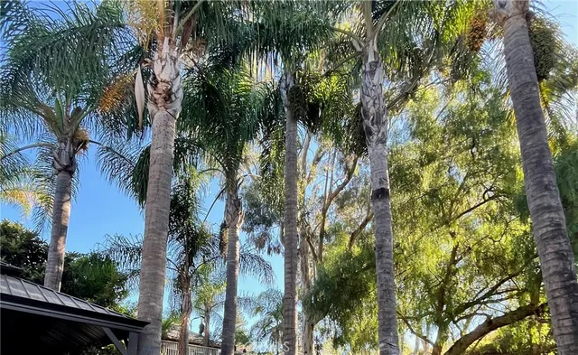 a view of outdoor space