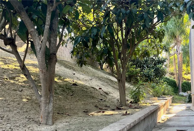 a view of a yard with plants