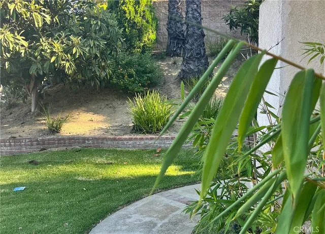 a view of a yard with plants and a lake view