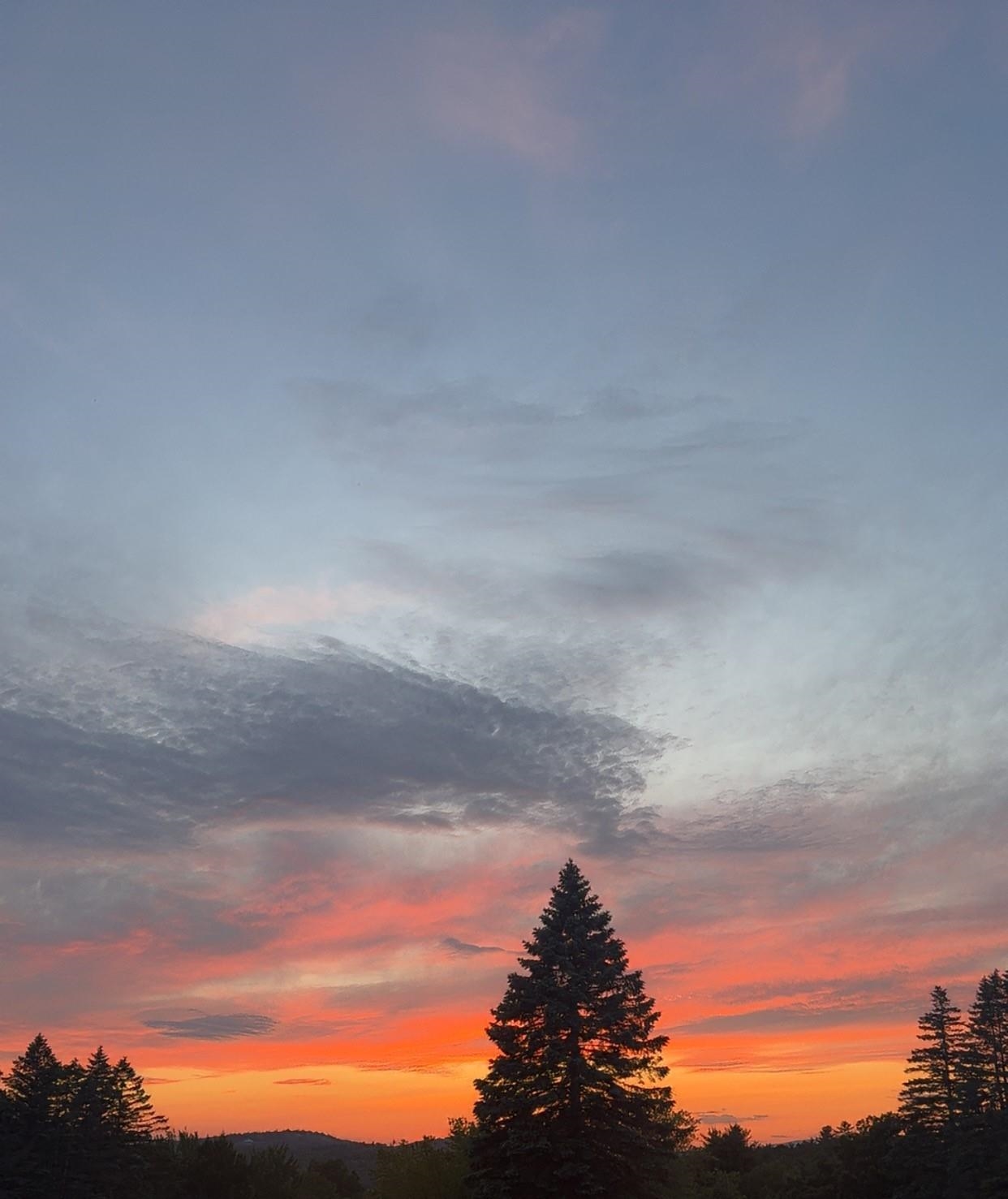21 Barnard Ridge Road Meredith, NH 03253 - Photo 36 of 36