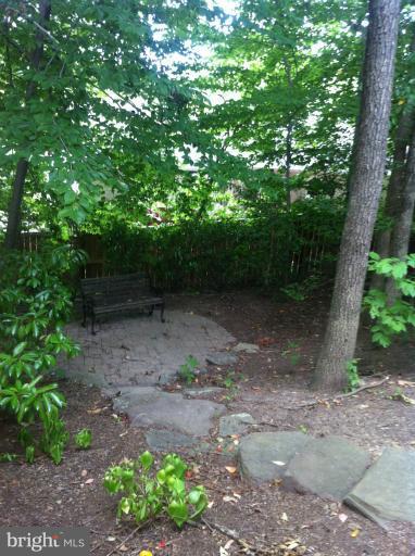 7709 Tower Woods Drive Springfield, VA 22153 - Photo 6 of 15 a view of a yard with plants and a large tree