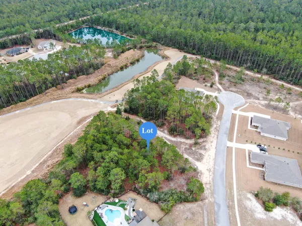 a view of a yard with potted plants