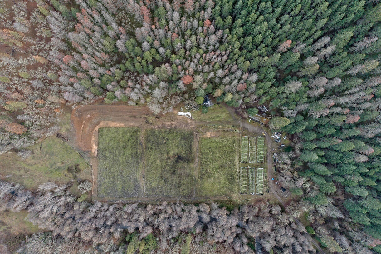 9400 Little Applegate Road Jacksonville, OR 97530 - Photo 18 of 22 17