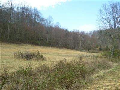 770 J B Buttrey Road London, KY 40741 - Photo 4 of 4 Photo 4