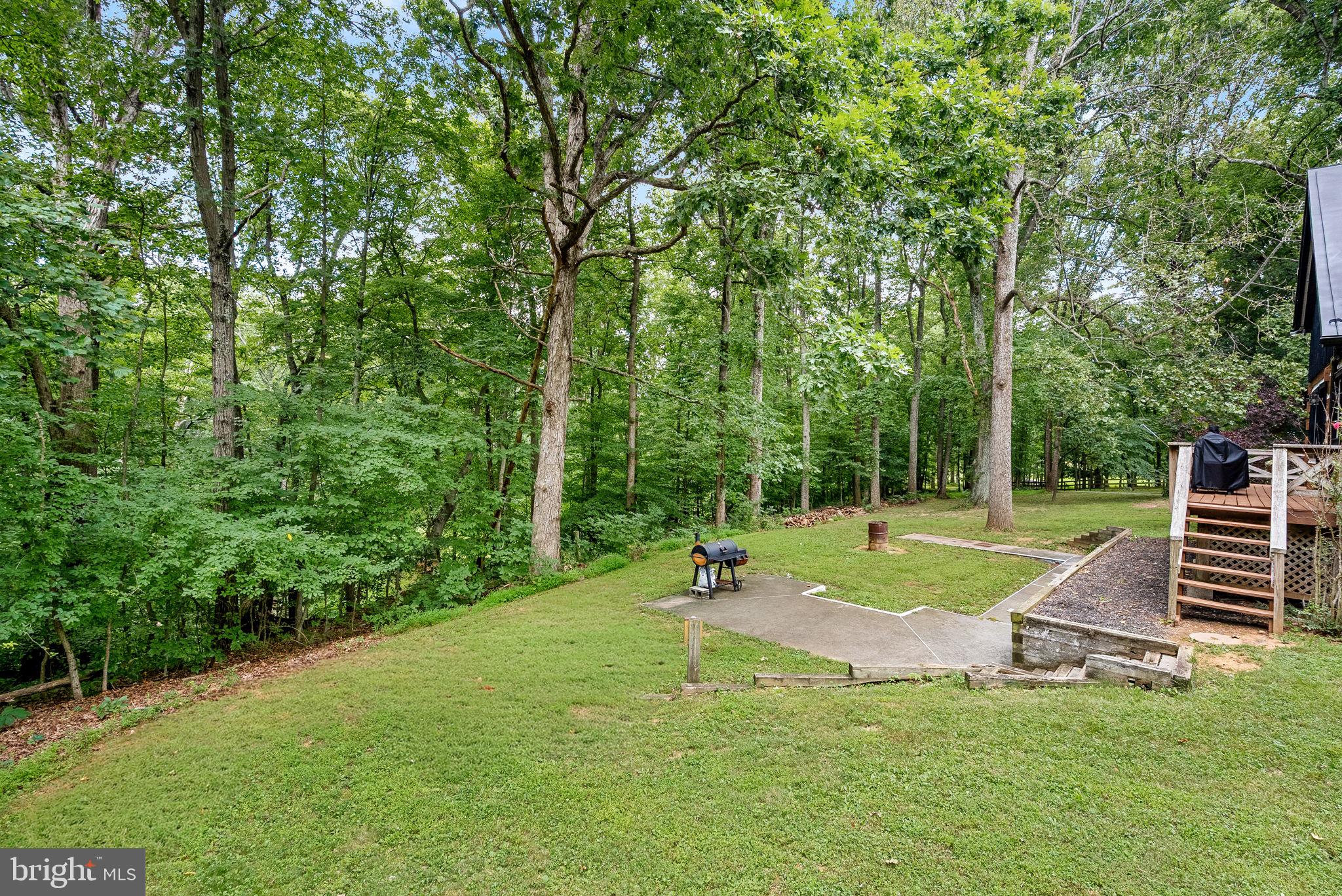 1263 Frogtown Road Bluemont, VA 20135 - Photo 48 of 72