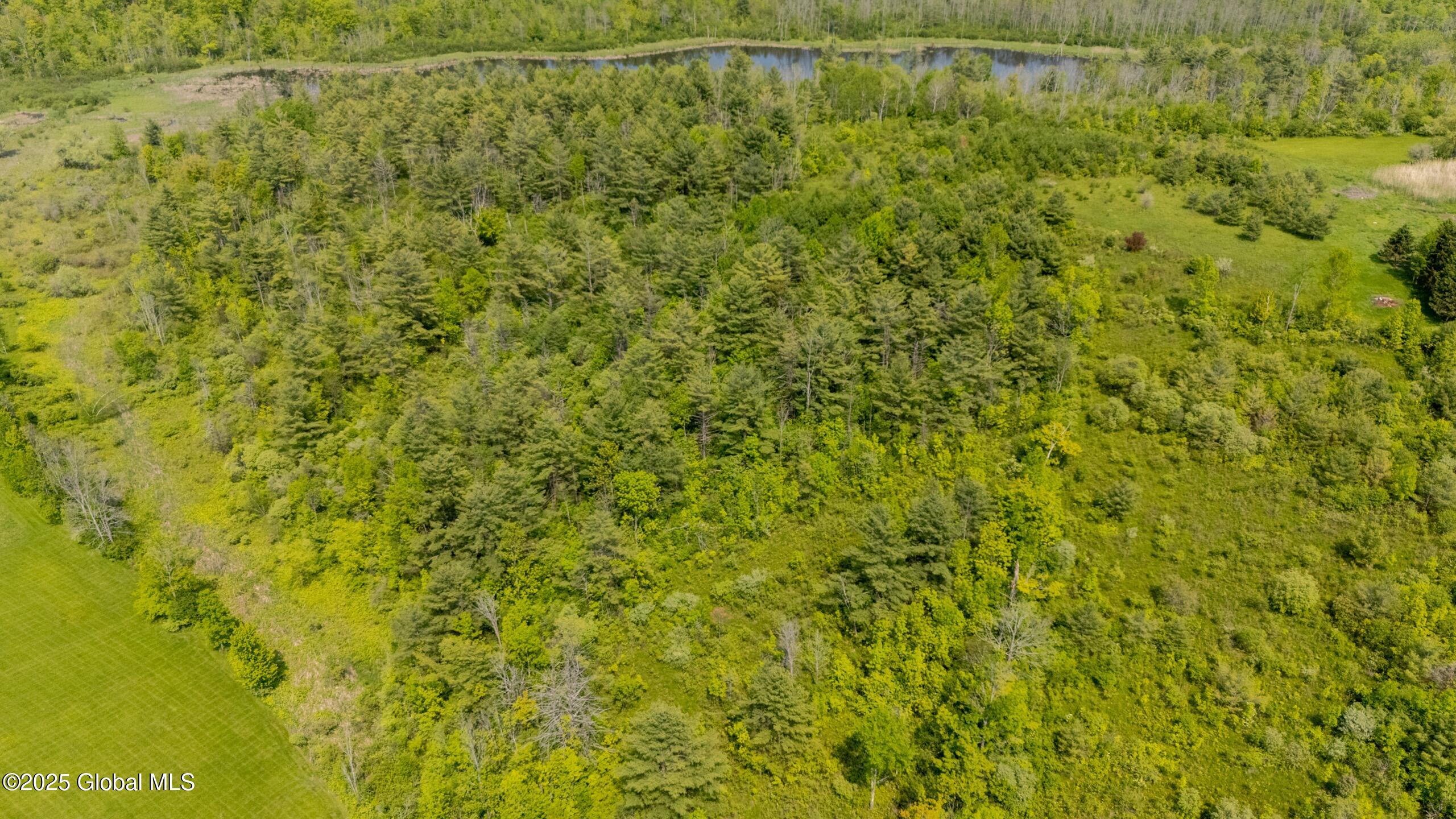 L18 Knox Cave Road Altamont, NY 12009 - Photo 5 of 11 knox-cave-4