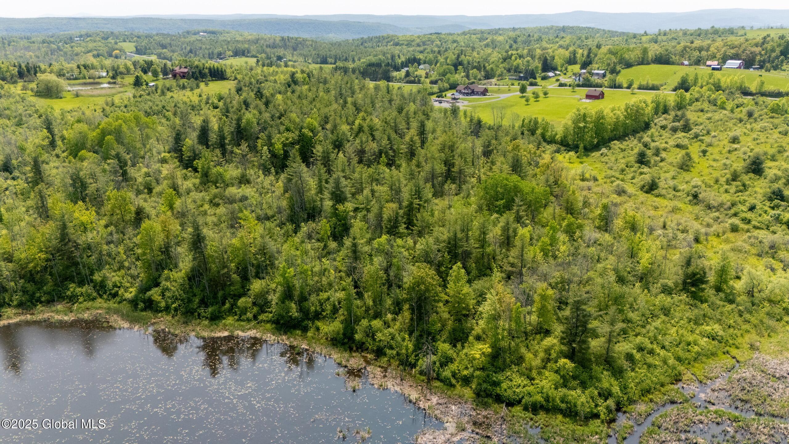 L18 Knox Cave Road Altamont, NY 12009 - Photo 6 of 11 knox-cave-5