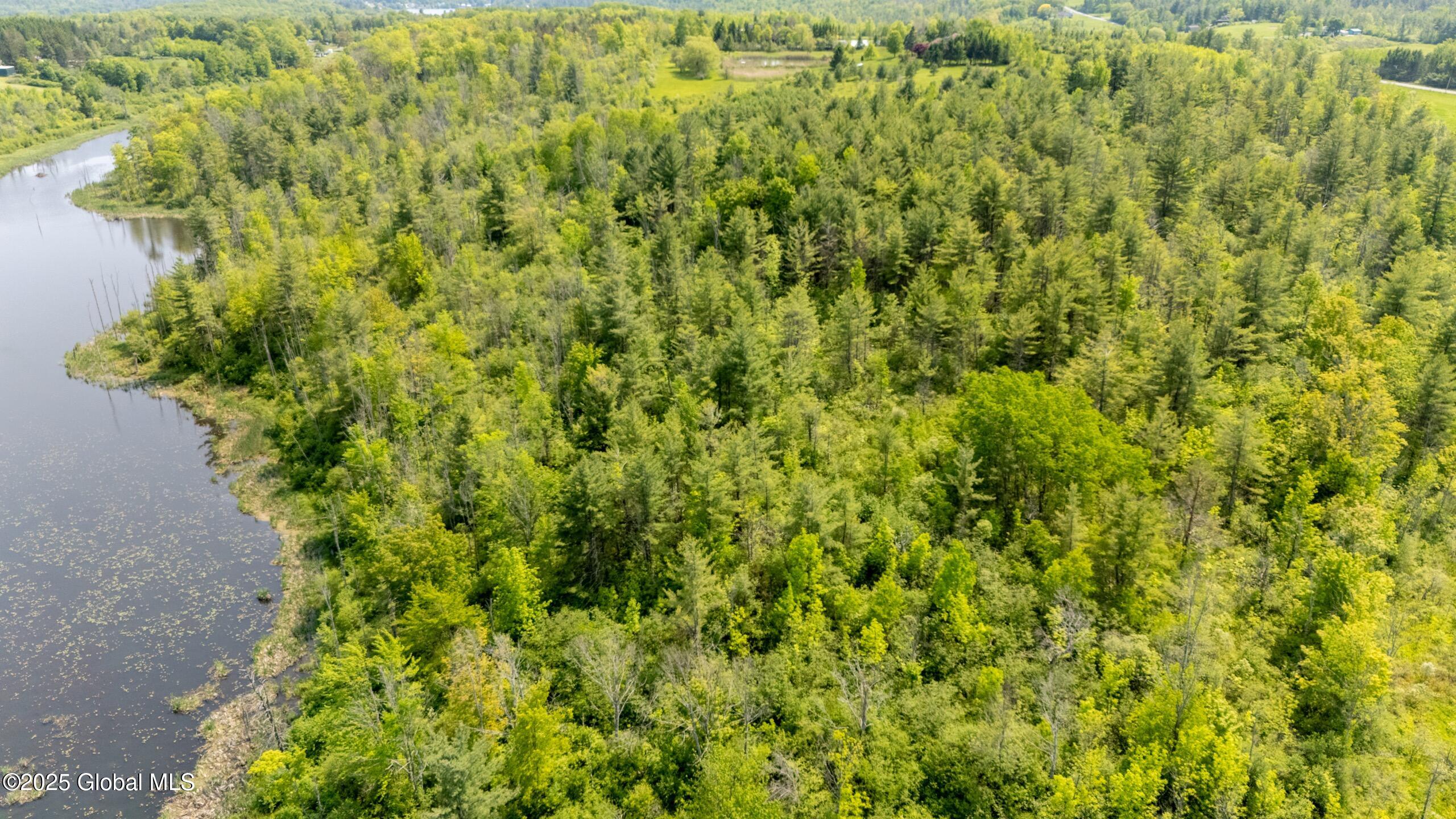 L18 Knox Cave Road Altamont, NY 12009 - Photo 7 of 11 knox-cave-6