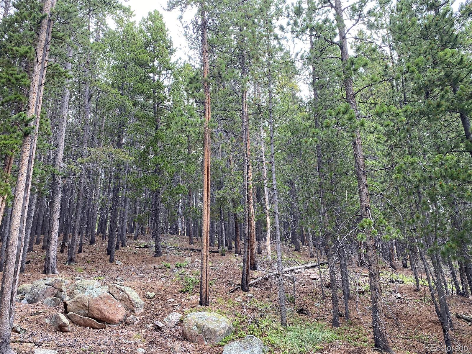 0 Paiute Road Evergreen, CO 80439 - Photo 1 of 2 Gallery Image 1