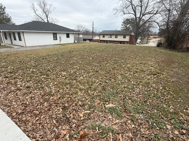 0 5th Street Vienna, IL 62995 - Photo 2 of 2
