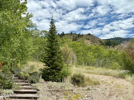 $699,000 | 189 Choke Cherry Lane, Irwin, ID 83428