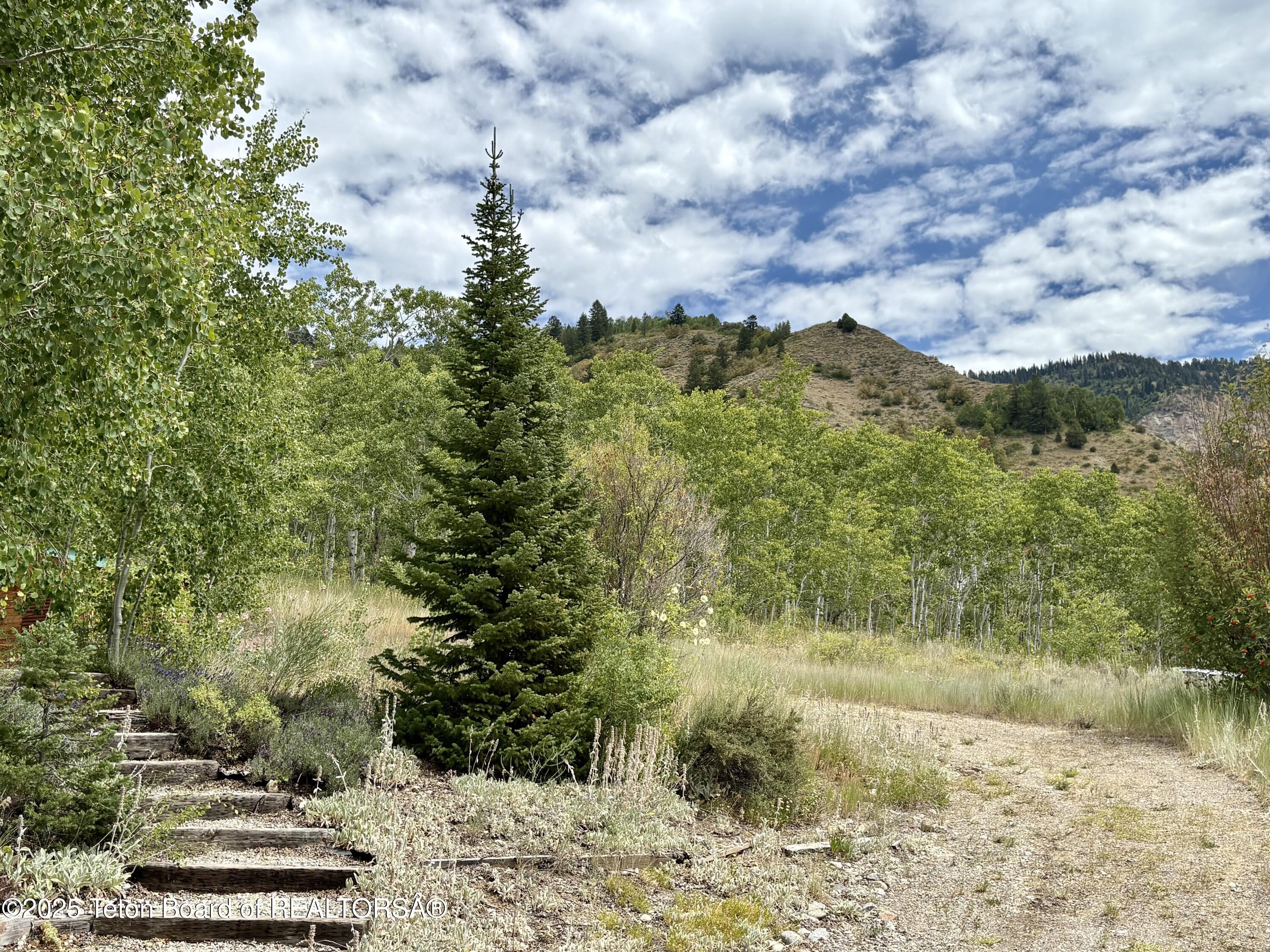 189 Choke Cherry Lane Irwin, ID 83428 - Photo 48 of 64 Steps to Upper Level