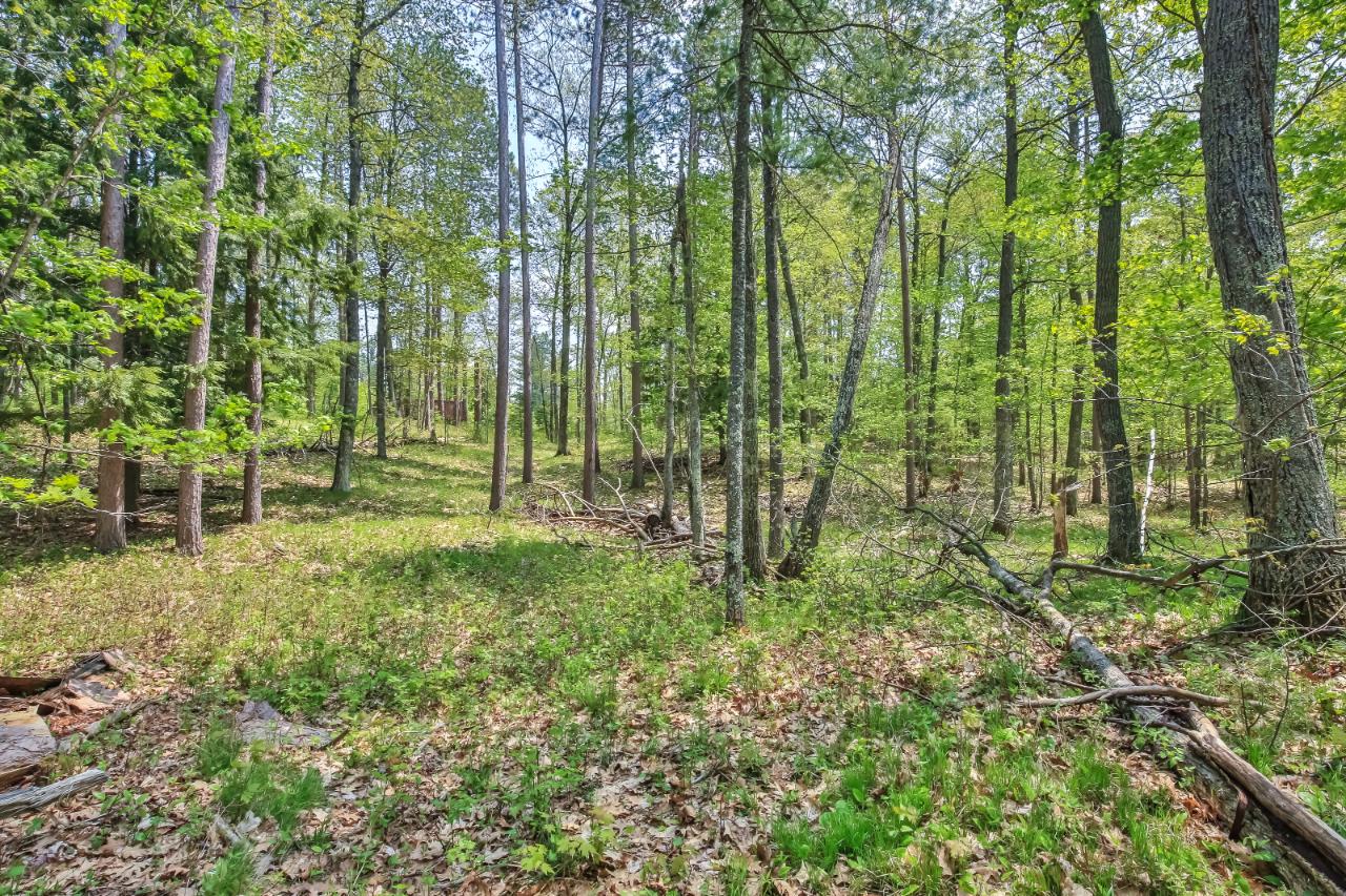 On Squirrel Lake Road, Unit LOT #2 Minocqua, WI 54548 - Photo 14 of 25 Gallery Image 14