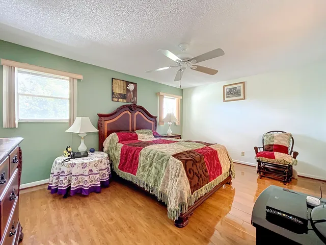 a view of a big yard with potted plants and large trees