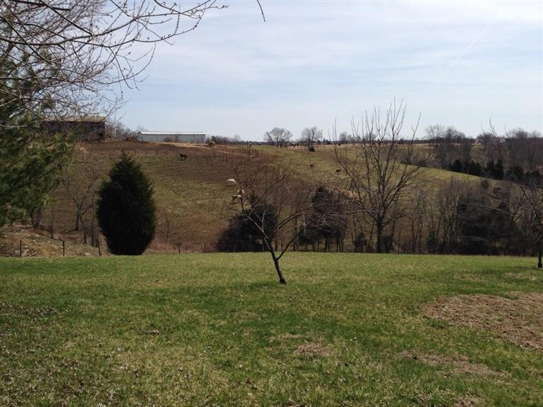 5010 Warsaw Road Dry Ridge, KY 41035 - Photo 24 of 25