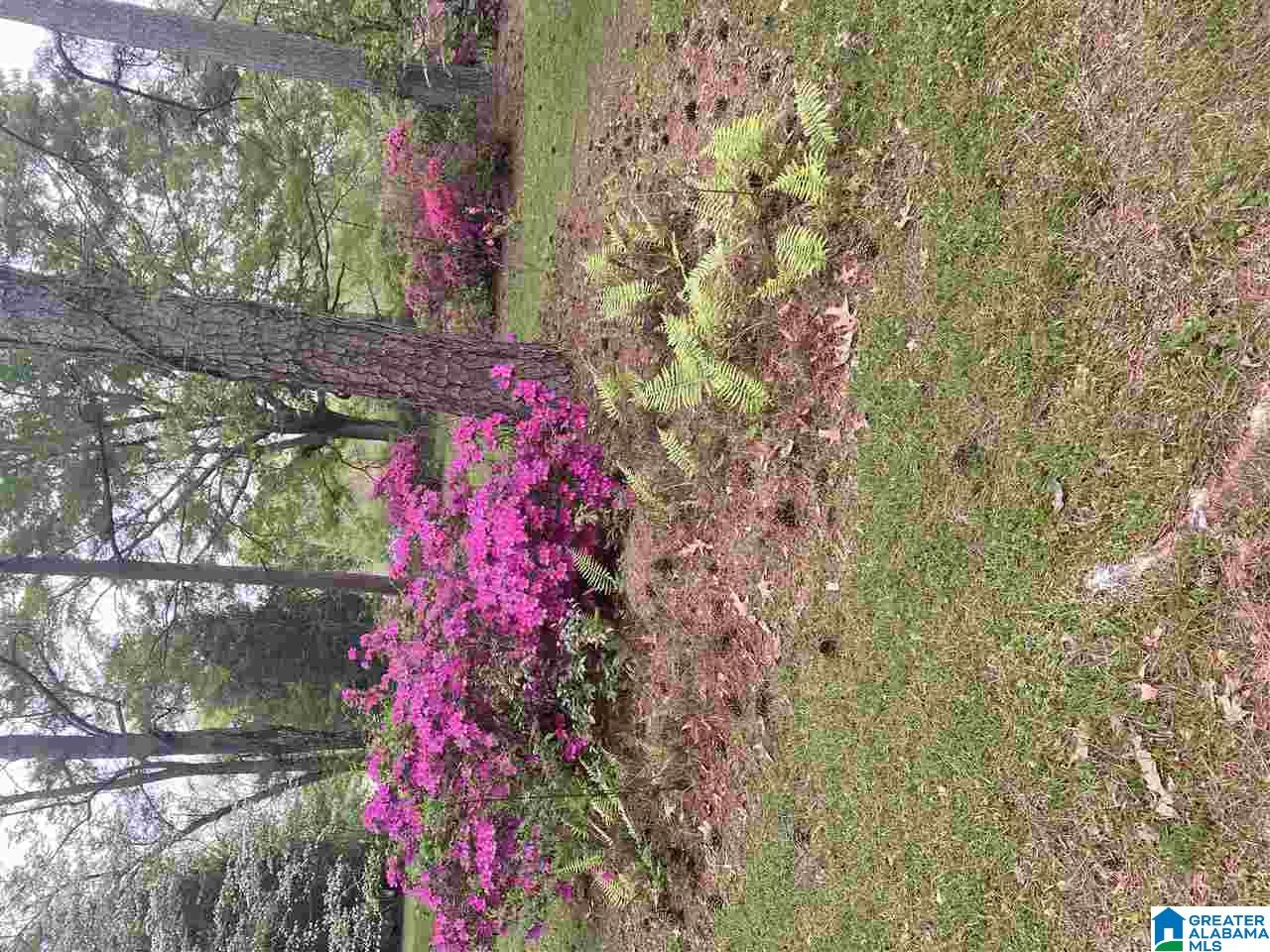 1245 School Road Southeast Bessemer, AL 35022 - Photo 22 of 22