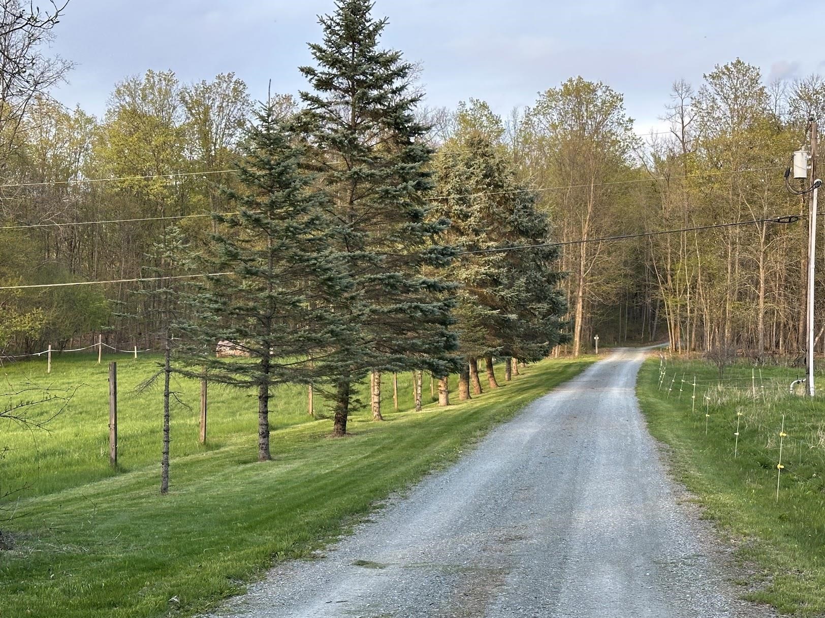 341 Turkey Farm Road Benson, VT 05743 - Photo 55 of 60