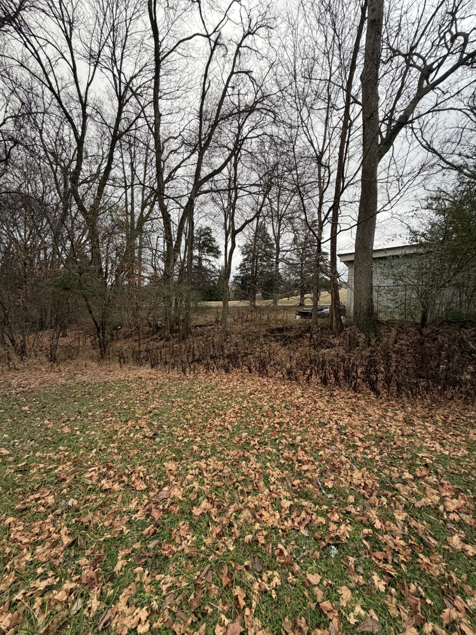 5150 John Hagar Road Hermitage, TN 37076 - Photo 4 of 6 a view of backyard with green space