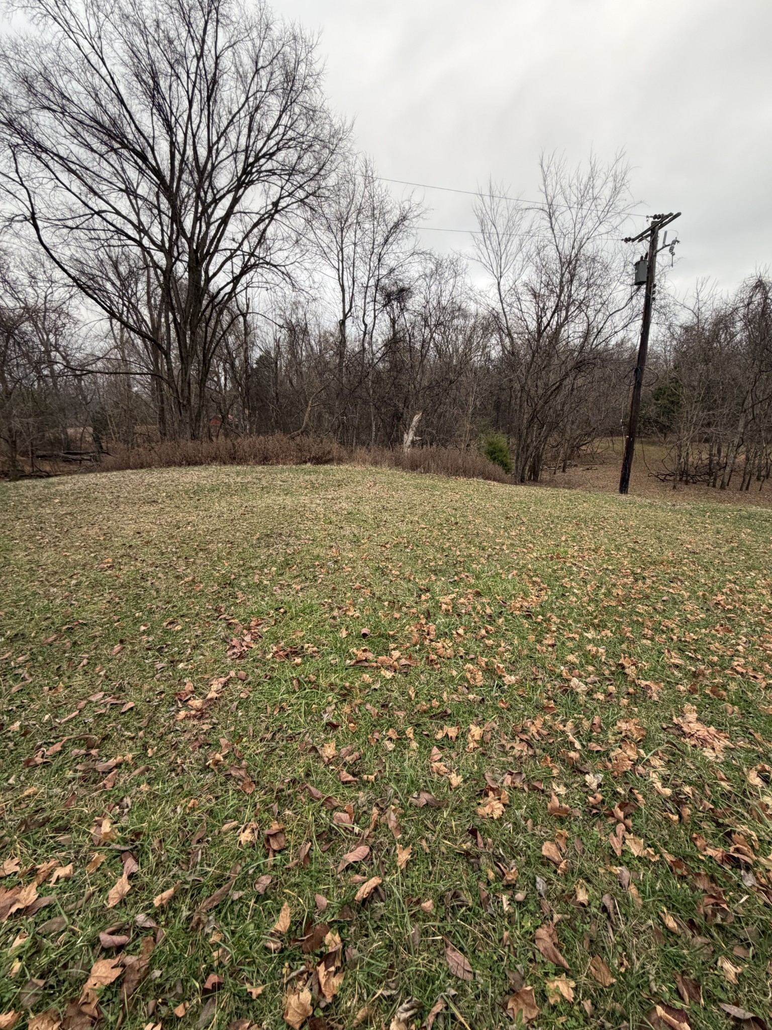 5150 John Hagar Road Hermitage, TN 37076 - Photo 5 of 6 a view of a field with trees