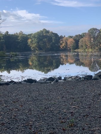 315 Springs Road Bedford, MA 01730 - Photo 5 of 6 Gallery Image 5