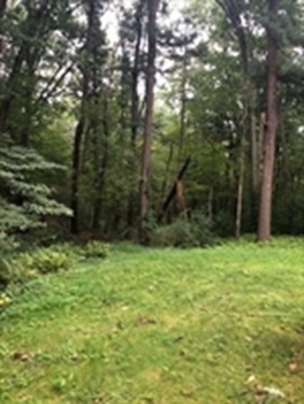 315 Springs Road Bedford, MA 01730 - Photo 6 of 6 Gallery Image 6