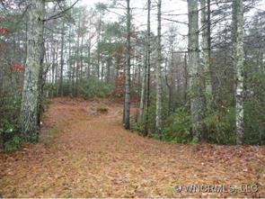 Lot 1 Oak Laurel Road, Unit LOT 1 Brevard, NC 28712 - Photo 1 of 12 a view of a forest with trees in the background
