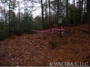 Lot 1 Oak Laurel Road, Unit LOT 1 Brevard, NC 28712 - Photo 2 of 12 a view of outdoor space