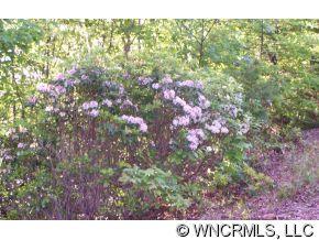 Lot 1 Oak Laurel Road, Unit LOT 1 Brevard, NC 28712 - Photo 11 of 12 a view of a city