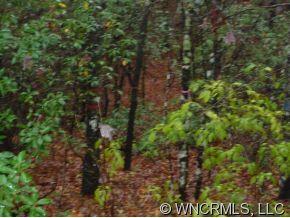 Lot 1 Oak Laurel Road, Unit LOT 1 Brevard, NC 28712 - Photo 3 of 12 a view of a yard