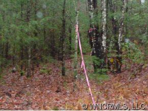 Lot 1 Oak Laurel Road, Unit LOT 1 Brevard, NC 28712 - Photo 4 of 12 a view of a forest
