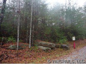Lot 1 Oak Laurel Road, Unit LOT 1 Brevard, NC 28712 - Photo 6 of 12 a view of a forest
