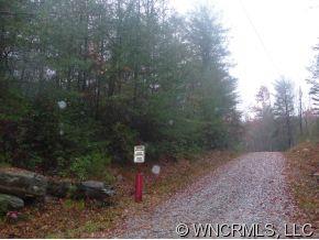 Lot 1 Oak Laurel Road, Unit LOT 1 Brevard, NC 28712 - Photo 7 of 12 a view of a forest with a tree