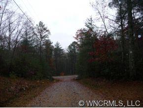 Lot 1 Oak Laurel Road, Unit LOT 1 Brevard, NC 28712 - Photo 8 of 12 a view of outdoor space