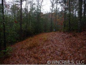 Lot 1 Oak Laurel Road, Unit LOT 1 Brevard, NC 28712 - Photo 9 of 12 a view of a yard