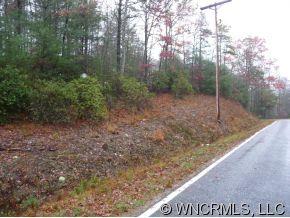 Lot 1 Oak Laurel Road, Unit LOT 1 Brevard, NC 28712 - Photo 10 of 12 a view of a forest filled with trees