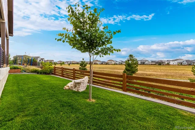 a view of a garden with an outdoor space