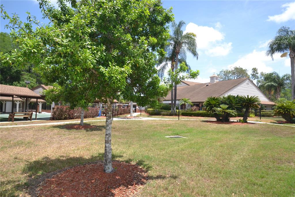 9026 Severn Lane New Port Richey, FL 34655 - Photo 48 of 62