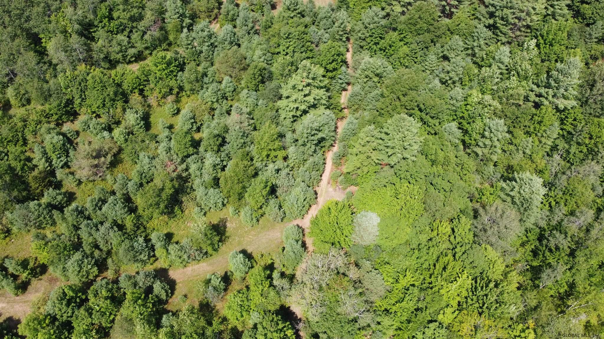 0 West River Road Wells, NY 12190 - Photo 8 of 10 Photo 9