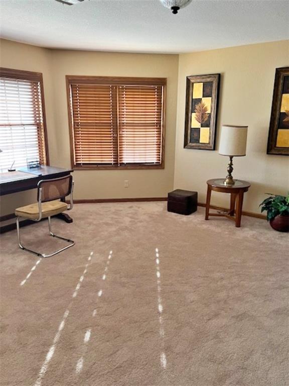 417 East 9th Street Pittsburg, KS 66762 - Photo 26 of 64