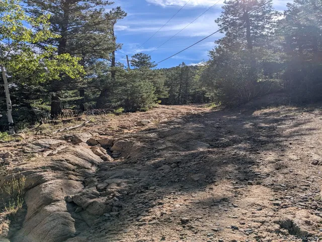 $21,000 | Fern Gulch Road, Evergreen, CO 80439