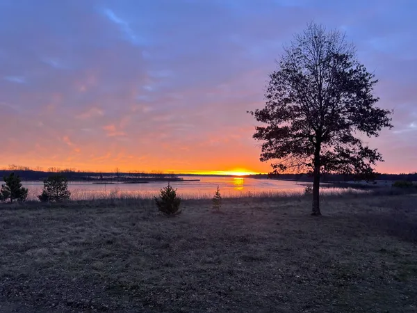 $595,000 | N10086 County Rd G, Necedah, WI 54646