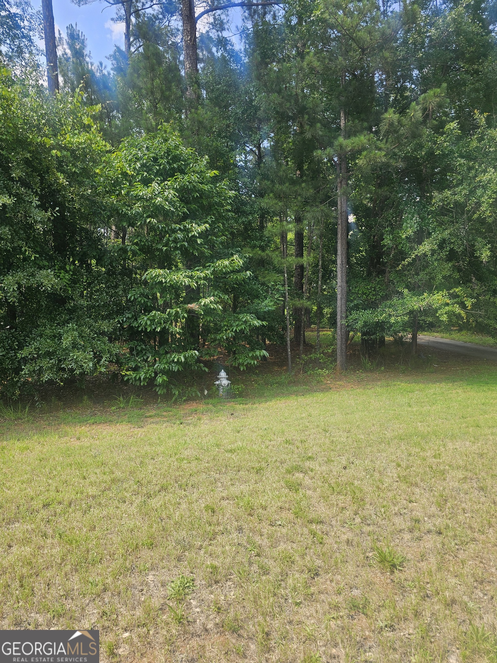 2755 Peeksville Road Locust Grove, GA 30248 - Photo 4 of 14