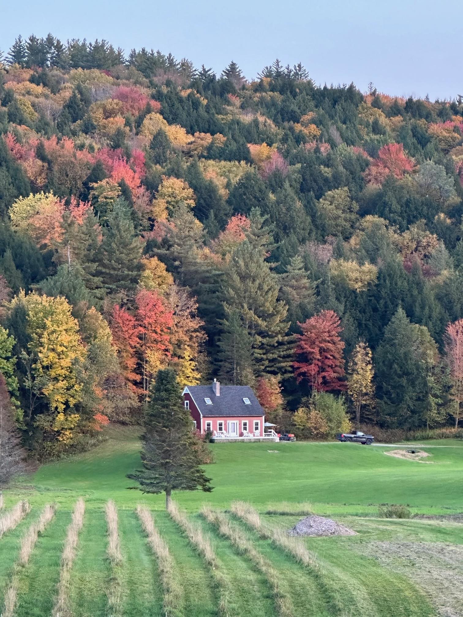 397 Pony Farm Road Moretown, VT 05660 - Photo 31 of 39