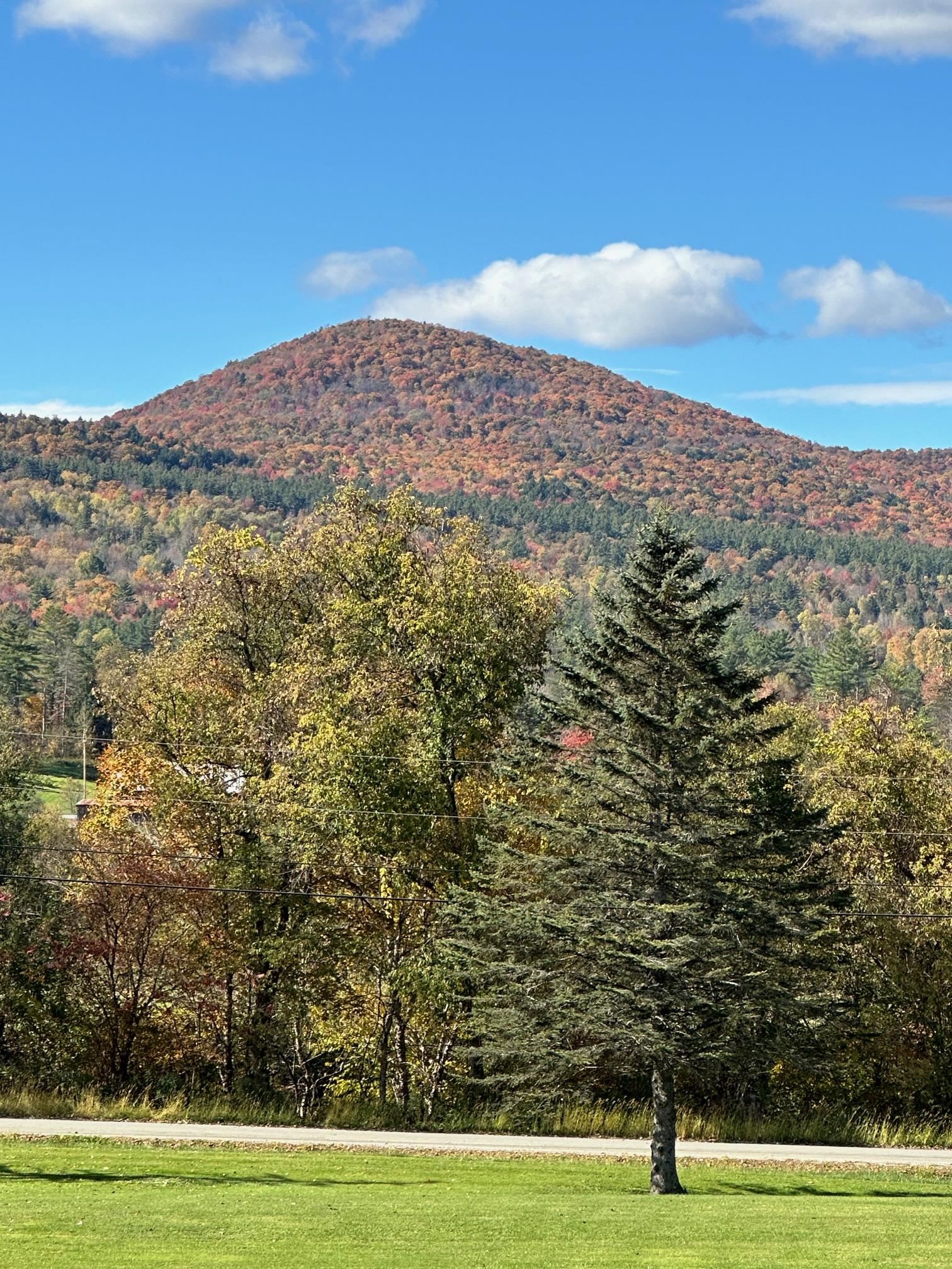 397 Pony Farm Road Moretown, VT 05660 - Photo 34 of 39
