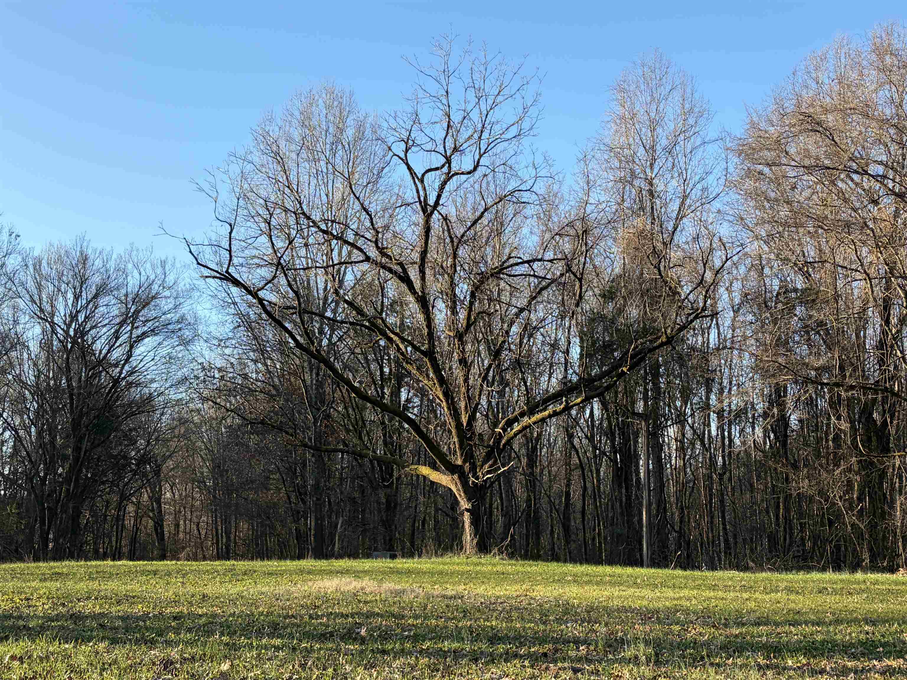 4591 Delta View Road Walls, MS 38641 - Photo 10 of 10