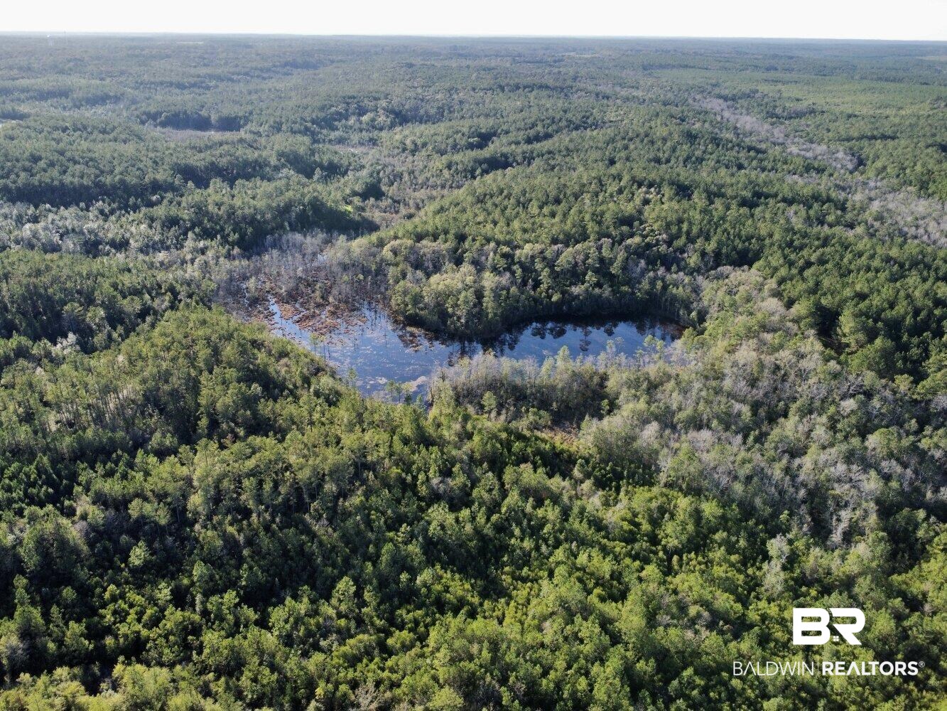 0 C C Road Chunchula, AL 36521 - Photo 24 of 27
