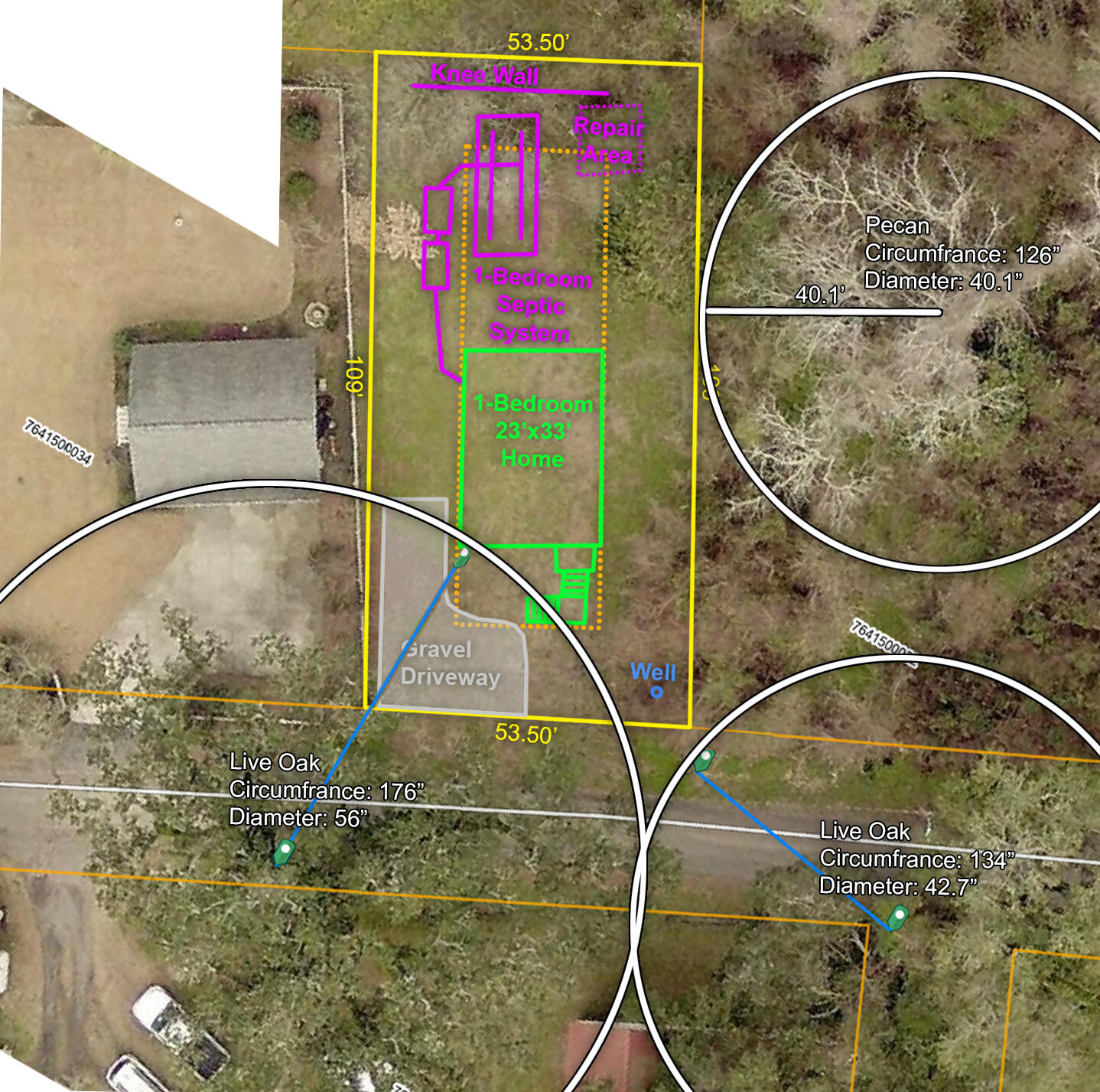 310 Drayton Street McClellanville, SC 29458 - Photo 16 of 16 Grand Trees